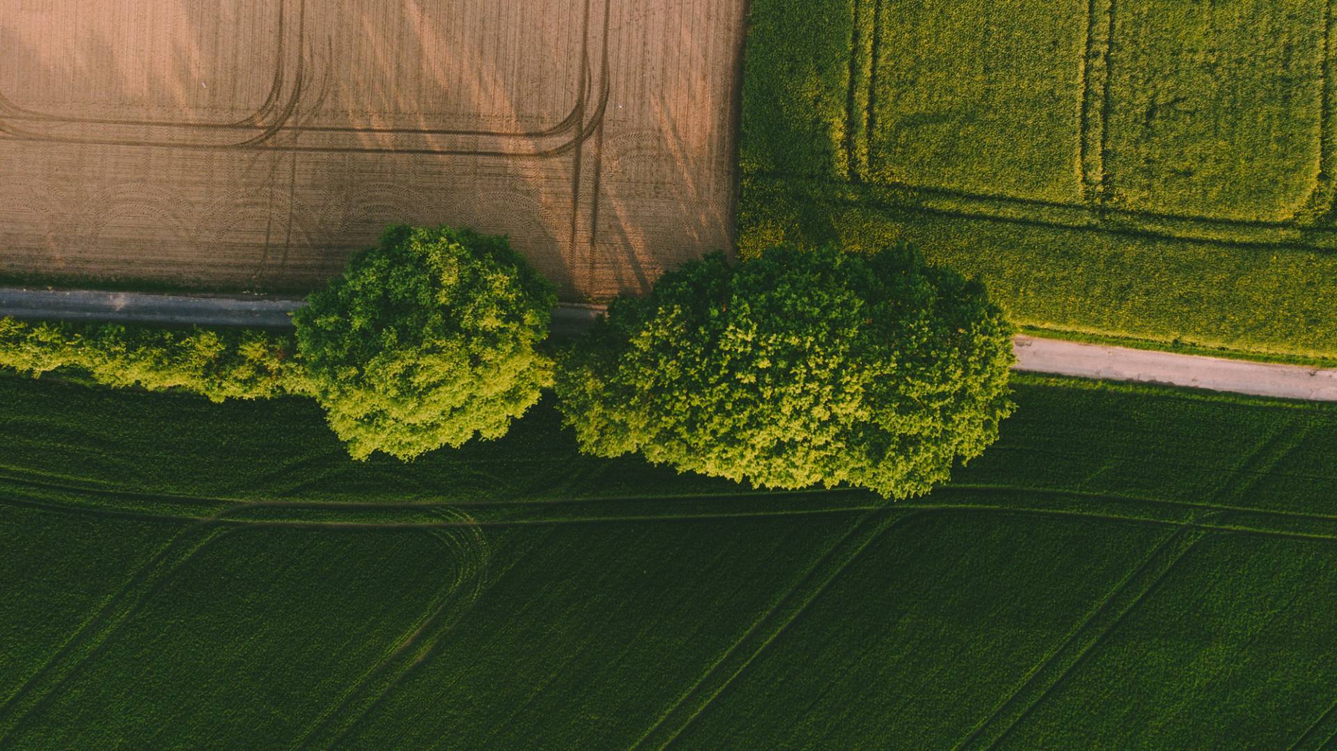 Terreno Agricolo In Vendita a Cologno al Serio